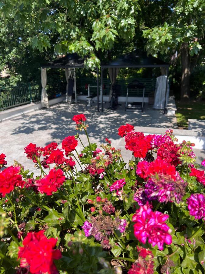 Villa Albina Rome Buitenkant foto